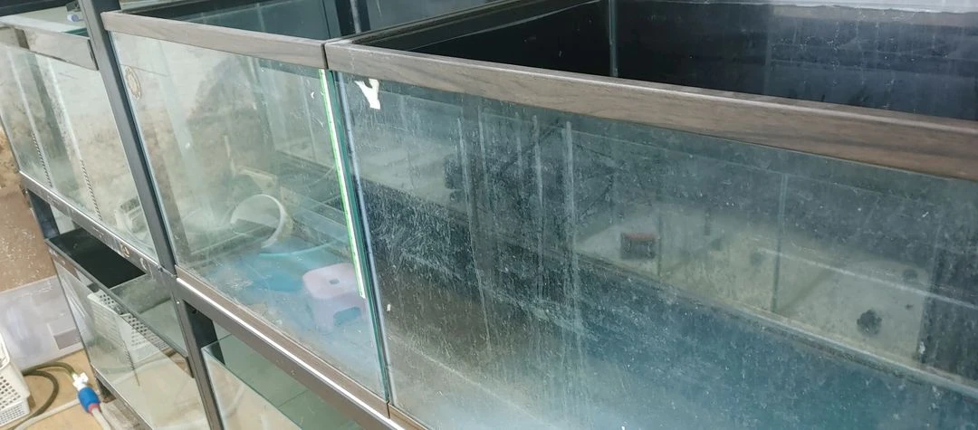 물고기어항 축양장 무료나눔 이미지