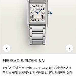 까르띠에 탱크 머스트 라지 이미지