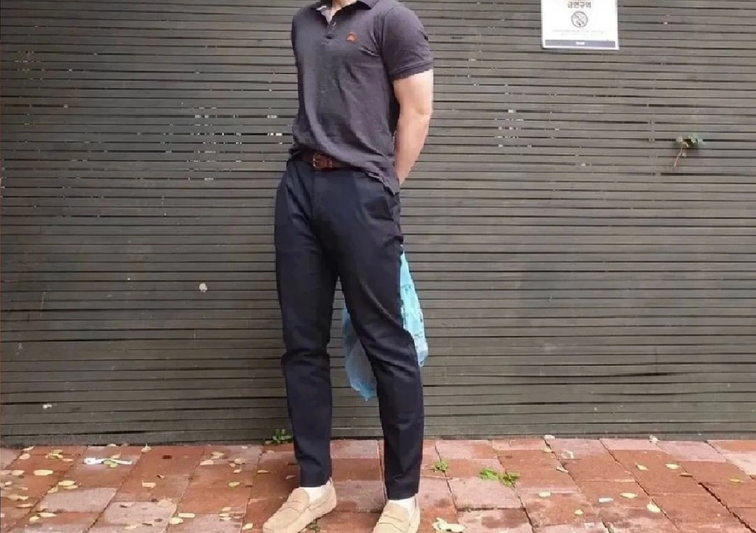 버버리카라반팔셔츠 이미지