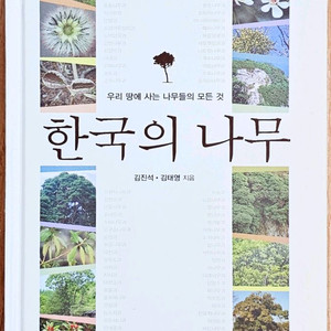 한국의 나무 우리 땅에 사는 나무들의 모든 것 김태영 김진석 자연 생태 도감 고전 연구 돌베개 과학 외국 수종 이미지