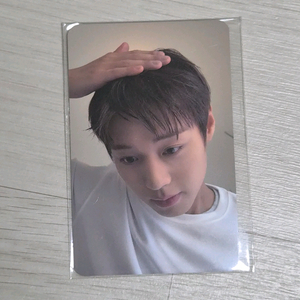 박지훈 포맨트 머리꾹 포카 이미지