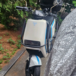 타우러스es 듀얼 전기스쿠터 이미지