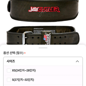 쉬크 리프팅벨트 이미지