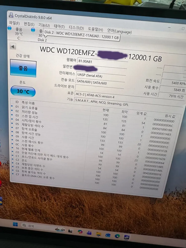 WD 12TB NAS 하드디스크 이미지