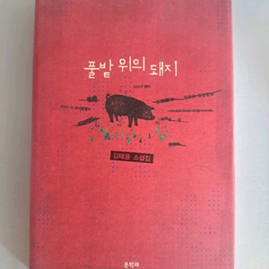 서적 풀밭 위에 돼지 이미지