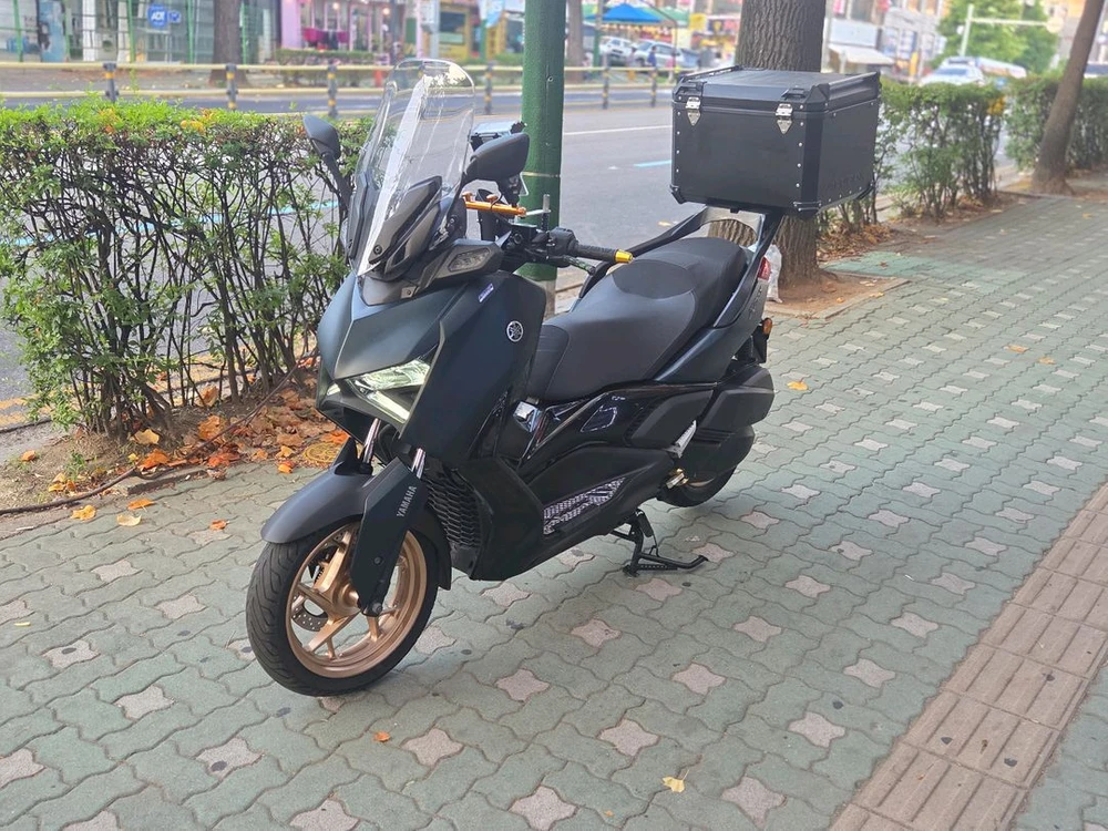 XMAX300 23녁식 이미지