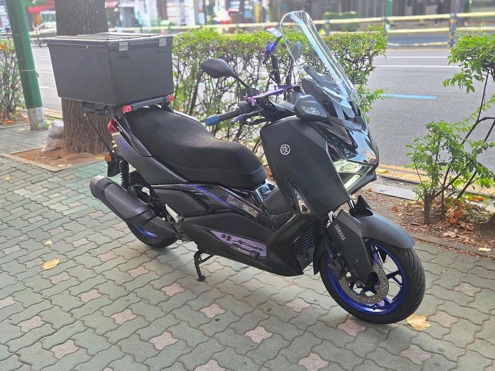 XMAX300 25녁식 이미지