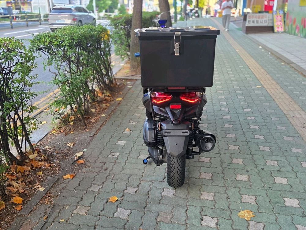 XMAX300 25녁식 이미지