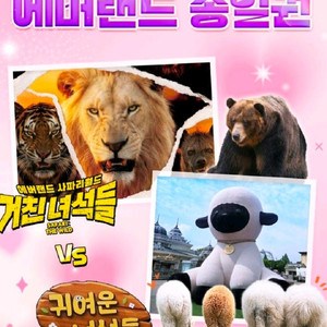 에버랜드 종일 이용권(츄러스) 이미지