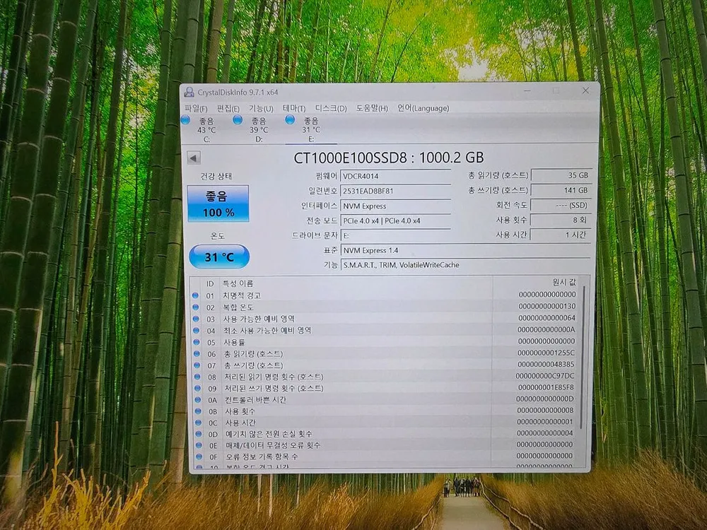 Crucial E100 1TB NVMe M.2 SSD 이미지
