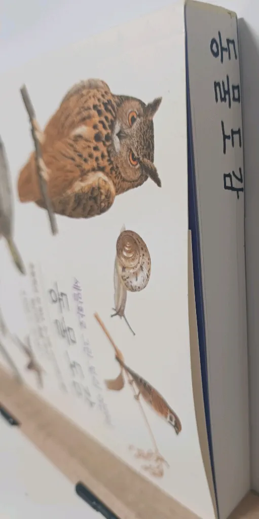 보리 국어 사전 2차 개정판, 동물도감, 초등학생을 위한 자연과학 1, 2학기 이미지