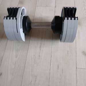 누오벨 스타일 무게조절 덤벨 최대 22kg 한 쌍 이미지
