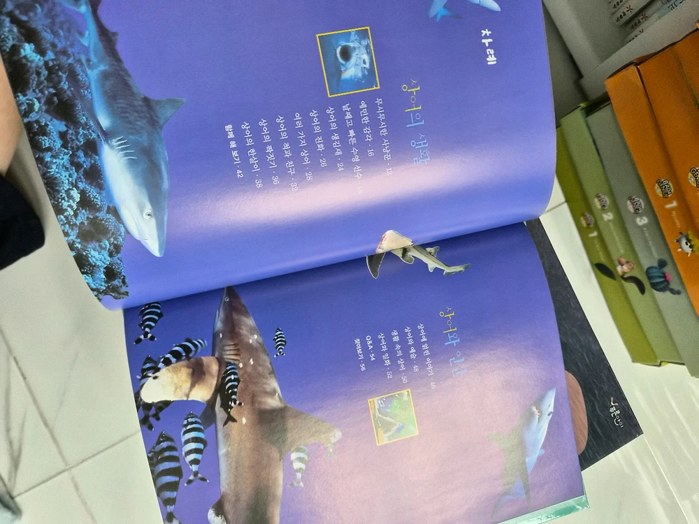웅진북클럽 푸른아이 자연관찰 전집 이미지