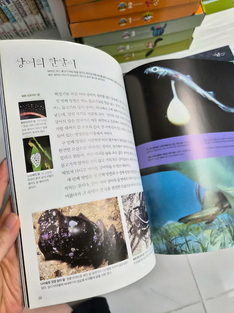 웅진북클럽 푸른아이 자연관찰 전집 이미지