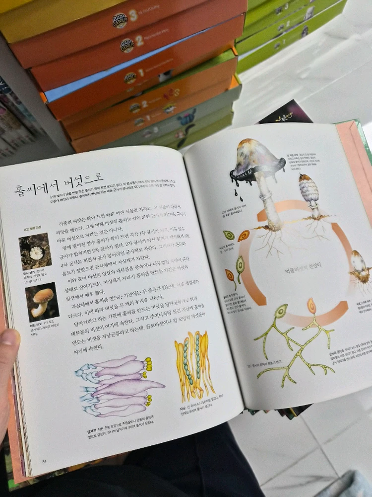 웅진북클럽 푸른아이 자연관찰 전집 이미지
