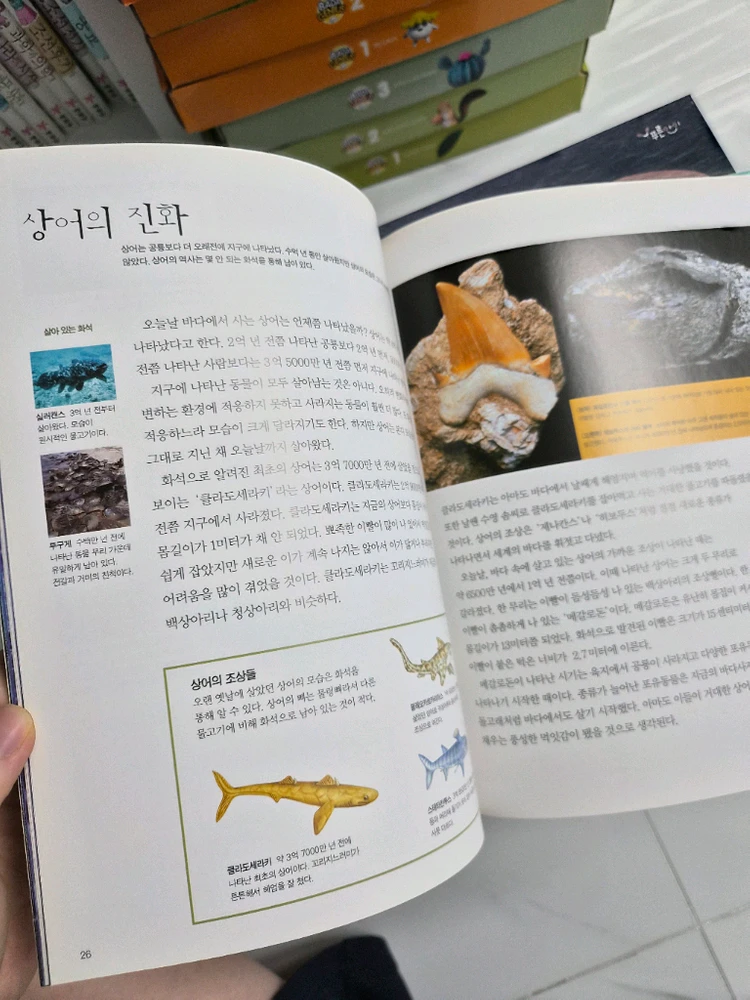웅진북클럽 푸른아이 자연관찰 전집 이미지