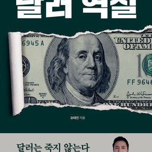 [새책] 달러 역설 이미지