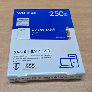wd blue m2 SATA SSD 250GB 이미지