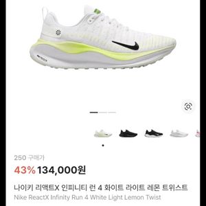 나이키 인피니티런4 라임 250 이미지