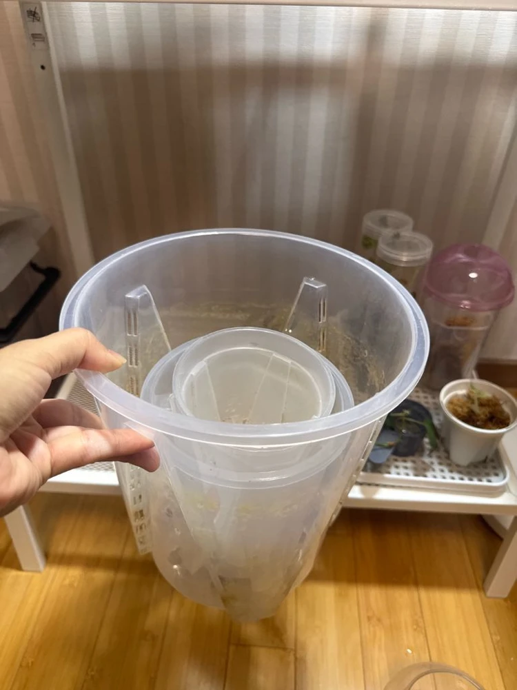 식물 정리해요(식물, 이케아 선반, 식물등 일괄) 이미지