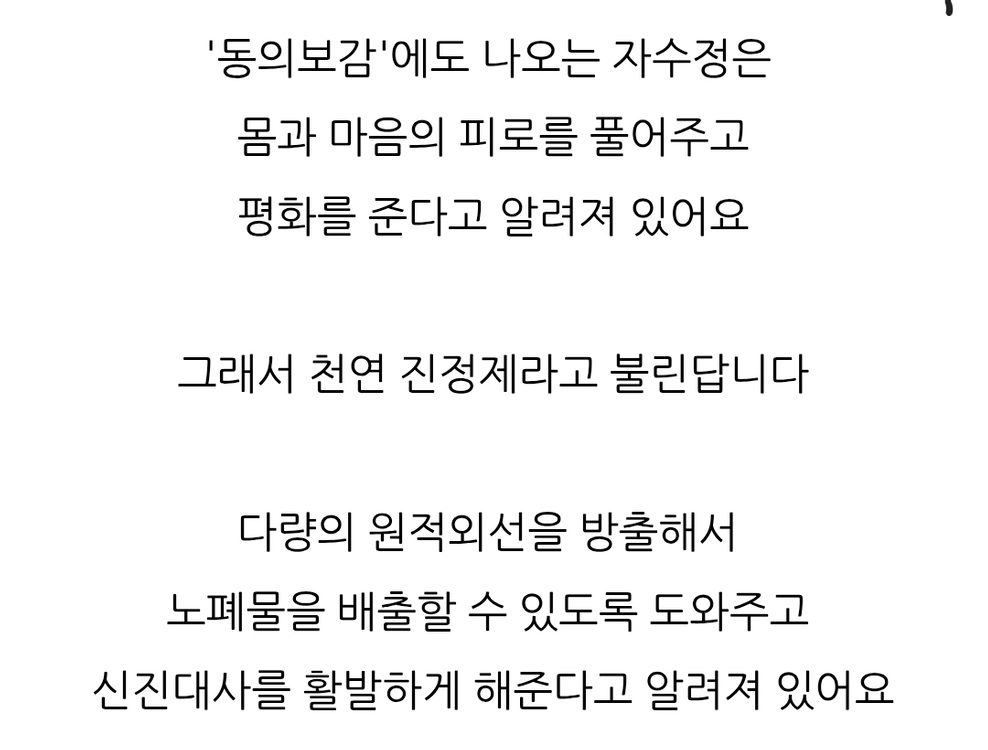 [새상품]천연 자수정 108 염주 팔찌 목걸이 남자 여자 불교 불상 낚시 자전거 골프 등산 스와로브스키 낚싯대 루어 이미지