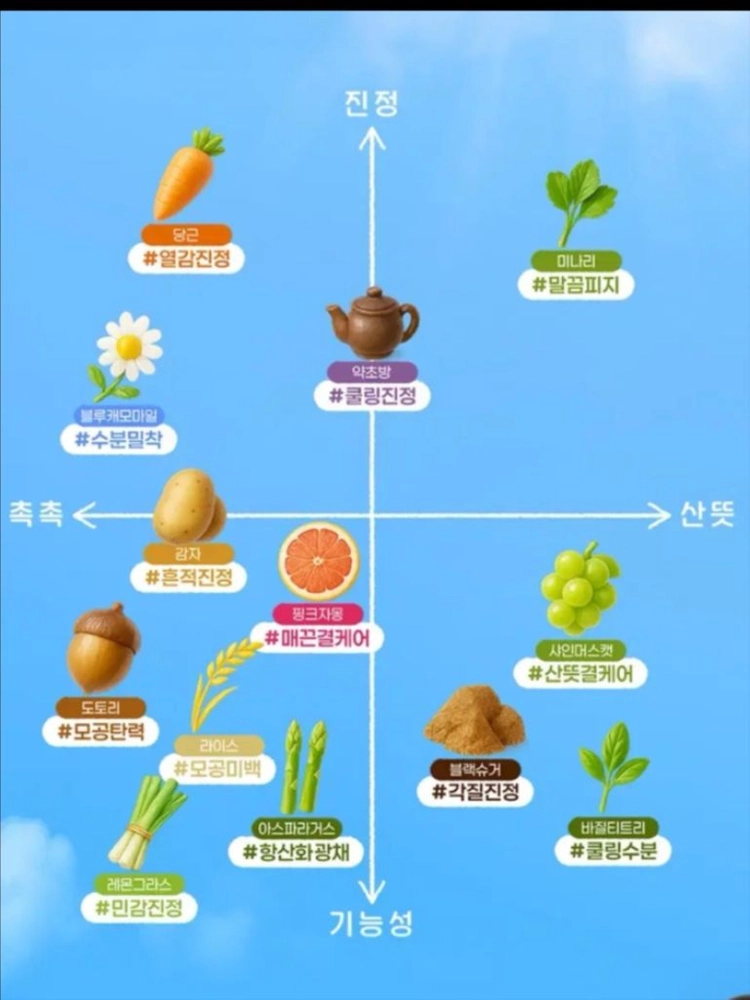 [새제품]스킨푸드 토너패드/당근도토리미나리캐모마일티트리 이미지