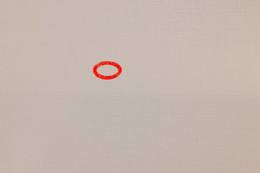 캐논 EOS R5 알오 알파이브 이미지