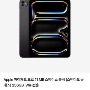 아이패드 프로11 M5 256G Wifi black 이미지
