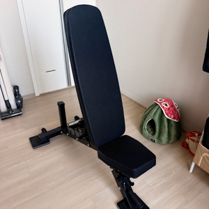 데드스루 인클라인 벤치 이미지