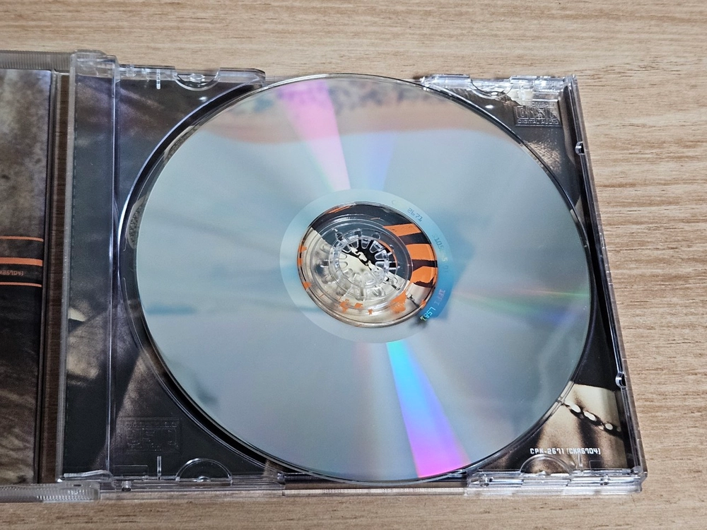 Will Smith - Born To Reign (CD) 이미지