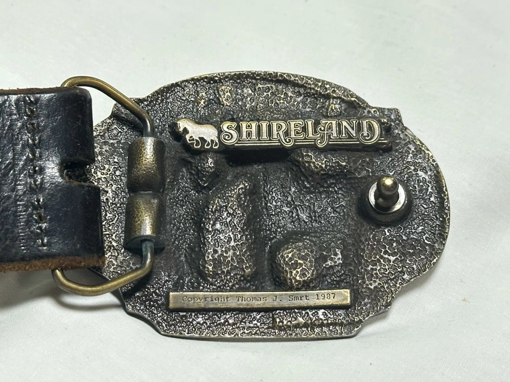 빈티지 Shireland 말 버클 벨트 이미지