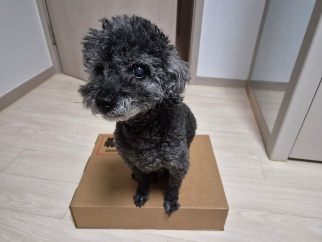 프로필 이미지