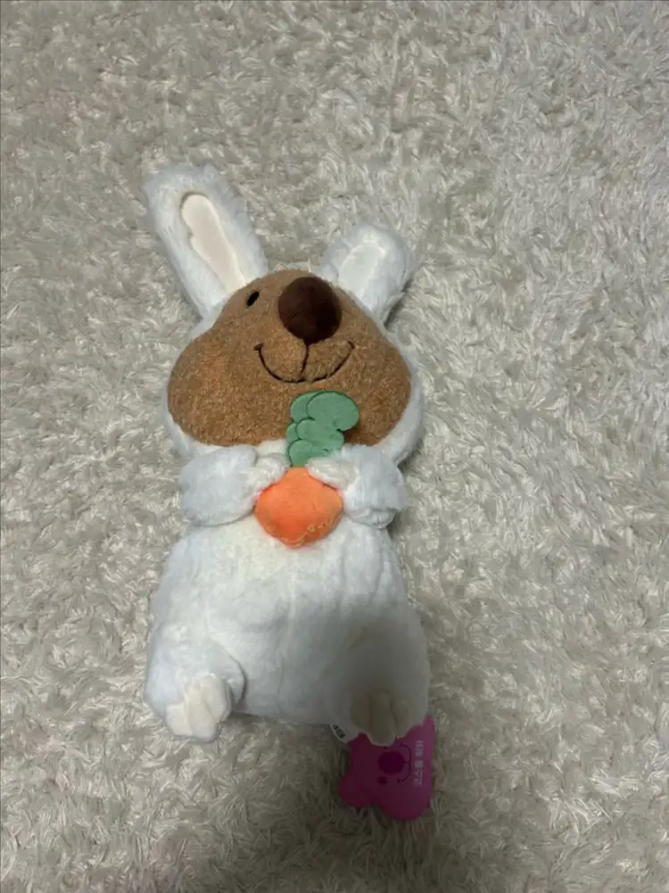 (새상품) 쿼카 코카 코스튬 당근 중형인형 이미지