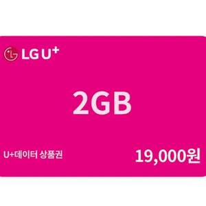 [최저가] LGU 유플러스 데이터 2GB (2기가 받았어도 가능) 추가 엘지 데이터 이미지