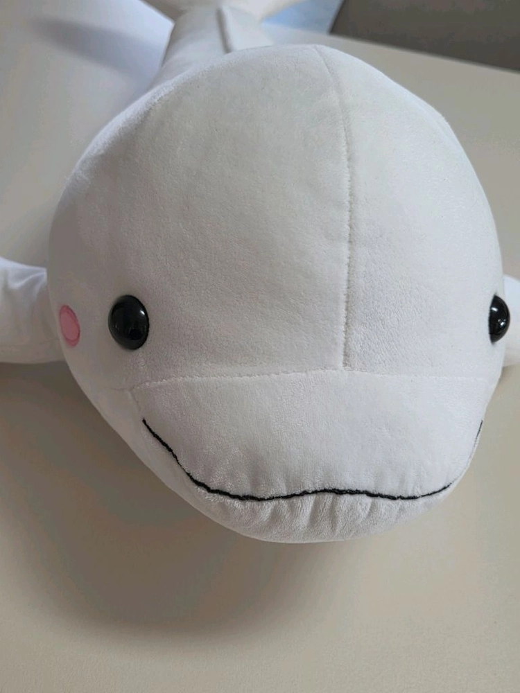돌고래 인형 이미지