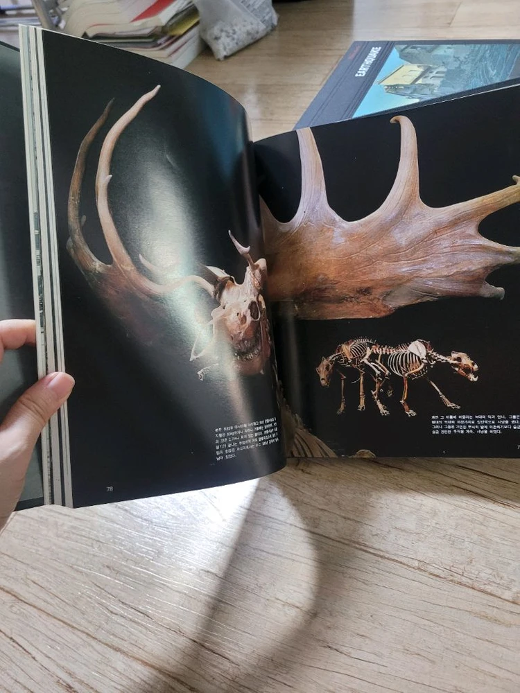 라이프전집 Planet Earth 이미지