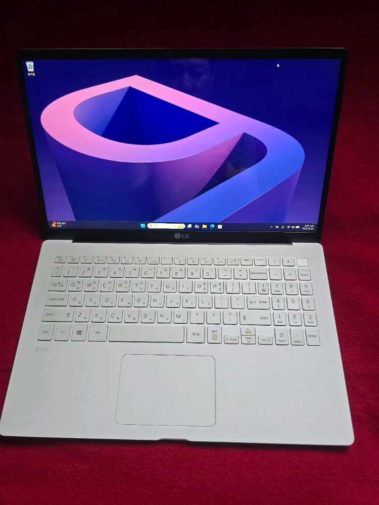 LG 그램 노트북 15ZB95N 풀업글 이미지