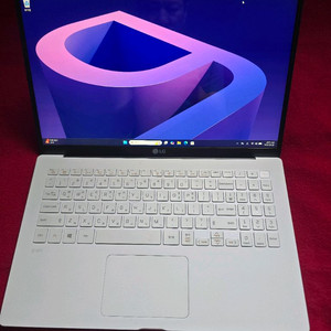 LG 그램 노트북 15ZB95N 풀업글 이미지