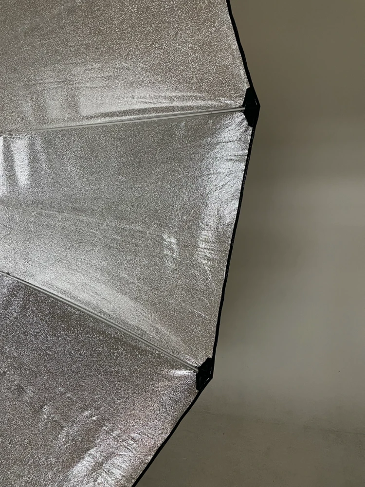 프로포토 자이언트 실버 210 profoto giant silver 210 이미지