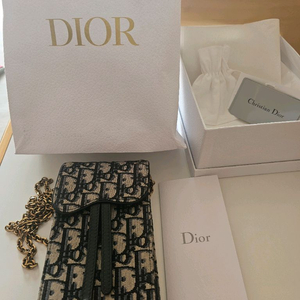 Dior 디올 오블리크 자카드 버티컬 새들 파우치 이미지