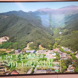 LG 75인치 TV 75SK8070PUA 이미지