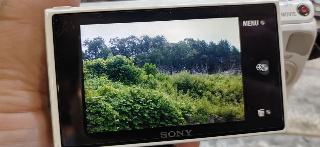 소니 미러리스 카메라 nex-5n 렌즈2개 이미지