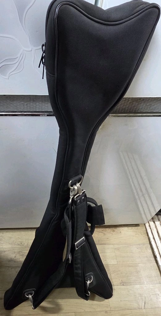 전자기타 케이스 (직거래: 모양 확인) <북수원> 이미지
