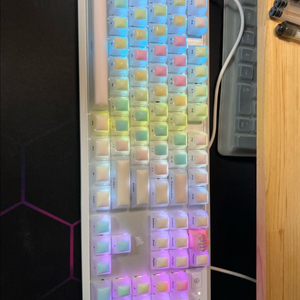 커세어 k70 se 화이트 이미지