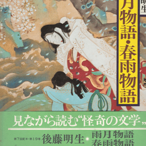 雨月物語 春雨物語 ( 우게츠모노가타리 우게츠 이야기 하루사메모노가타리) - 現代語譯 日本の古典 ( 현대어역 일본 이미지
