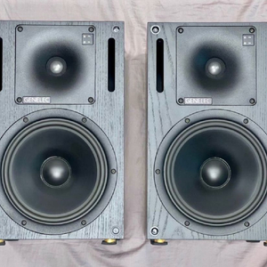 Genelec 1031A 모니터 스피커 판매합니다. 이미지