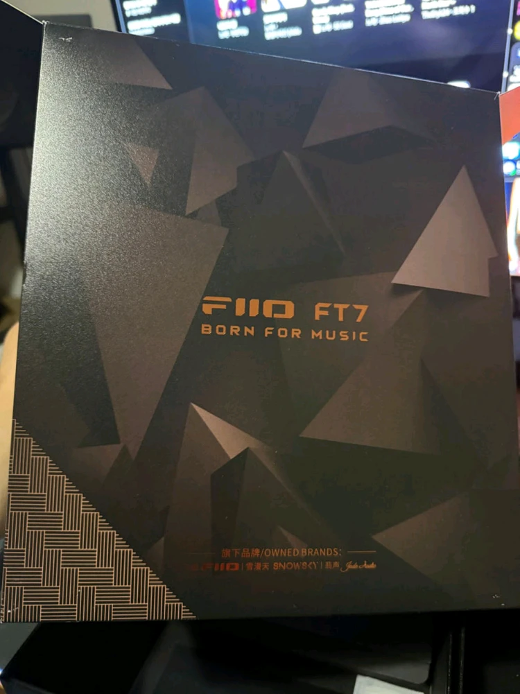 Fiio ft7 단순개봉 - 안심되는 중고거래