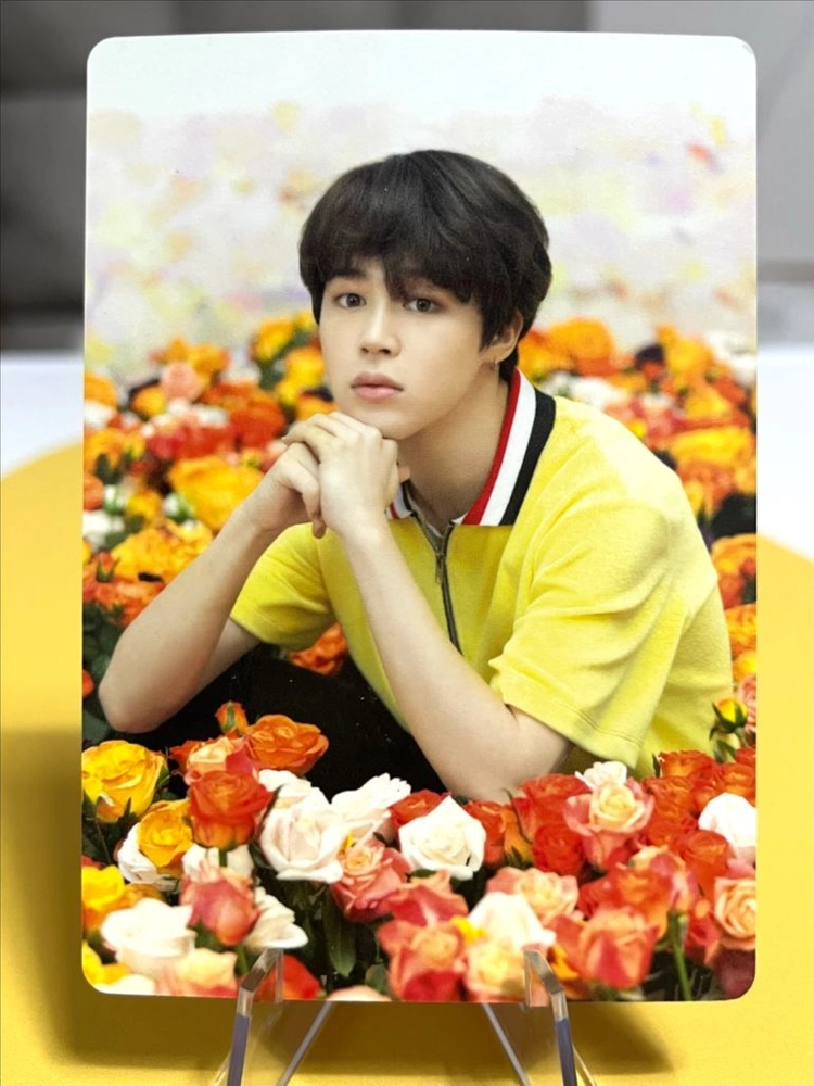 5장 일괄 지민 일본 럽셀콘 미니포카 방탄소년단 BTS 포토카드 이미지