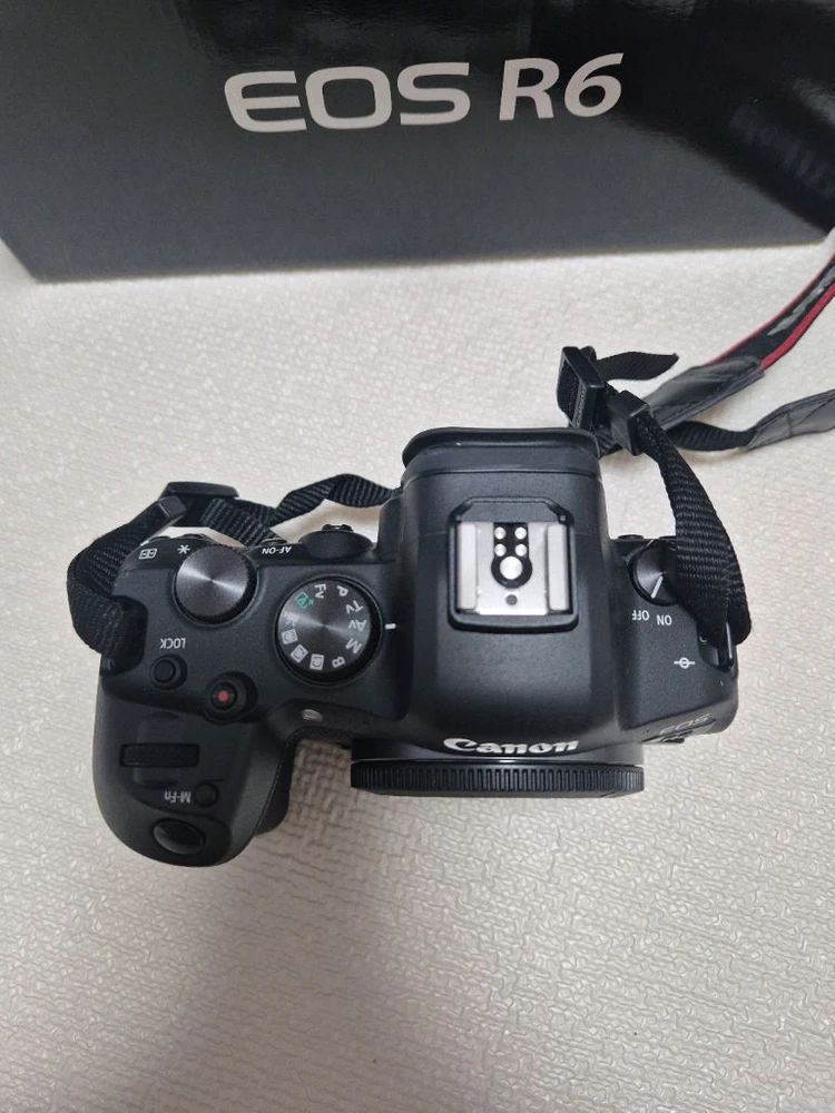 캐논 R6 이미지
