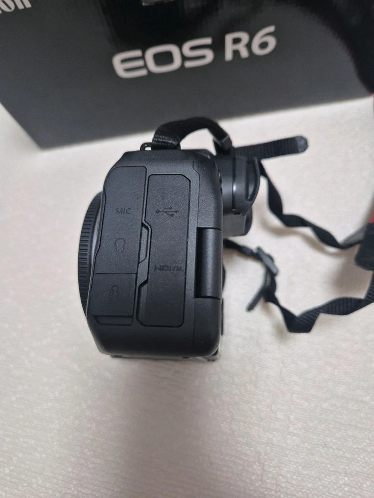 캐논 R6 이미지